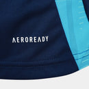 Camisa Flamengo Treino 2025/26