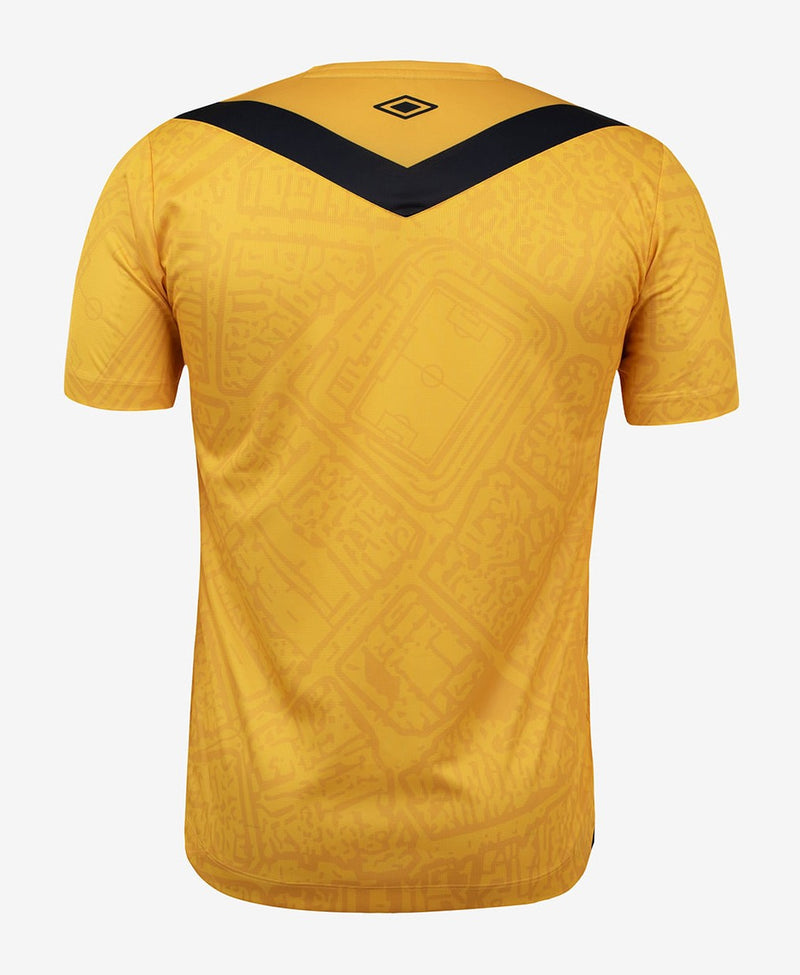 Camisa Santos III  24/2025