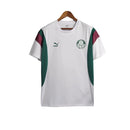 Camisa Palmeiras Treino 23/24 - Torcedor Masculina - Branco e Verde