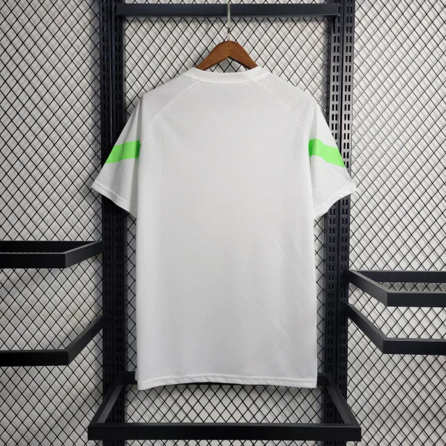 Camisa Palmeiras Treino 23/24 - Torcedor Masculina - Branco e Verde Limão