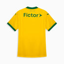 Camisa Feminina Puma Palmeiras 2025/26 III Torcedor